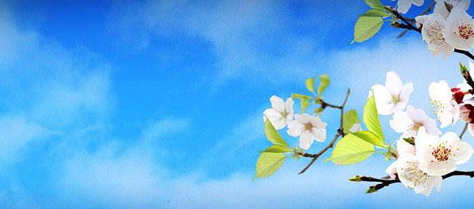 header2